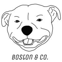 Boston & Co. Thumbnail